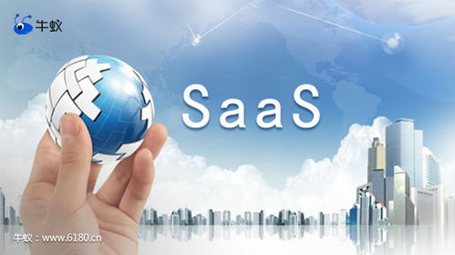 計算機信息技術(shù)開發(fā)中牛蟻的巧妙應(yīng)用